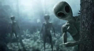 Did Life Come To Earth From Aliens?