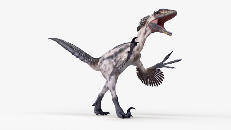 ‘Uncovering Dinosaur Behavior’ unearths paleontology’s biases