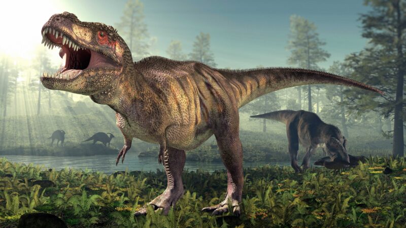 Analyze This: How big was the biggest T. rex?