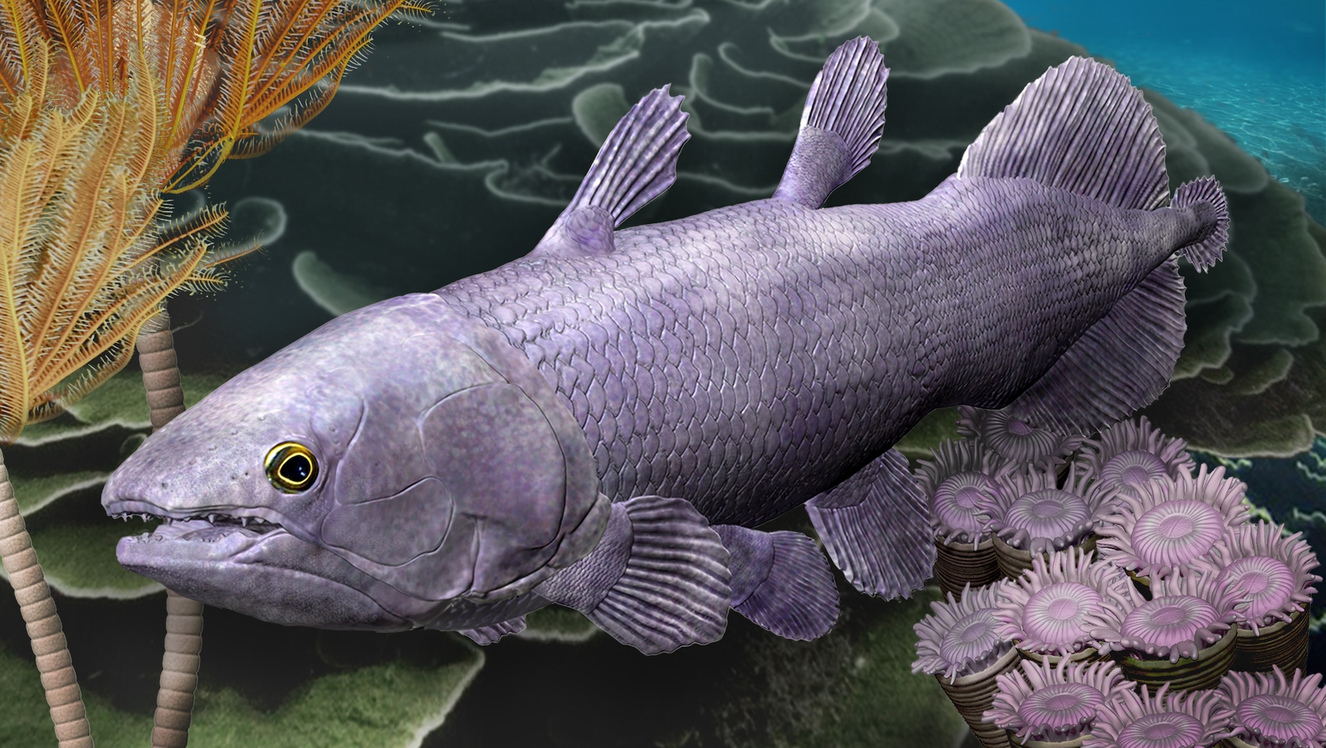 380 million-year-old remains of giant fish found in Australia. Its 'living fossil' descendant, the coelacanth, is still alive today.