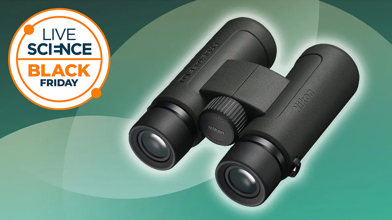 The lowest price we have seen for our favorite Nikon compact binoculars  — get 35% off in this Black Friday deal