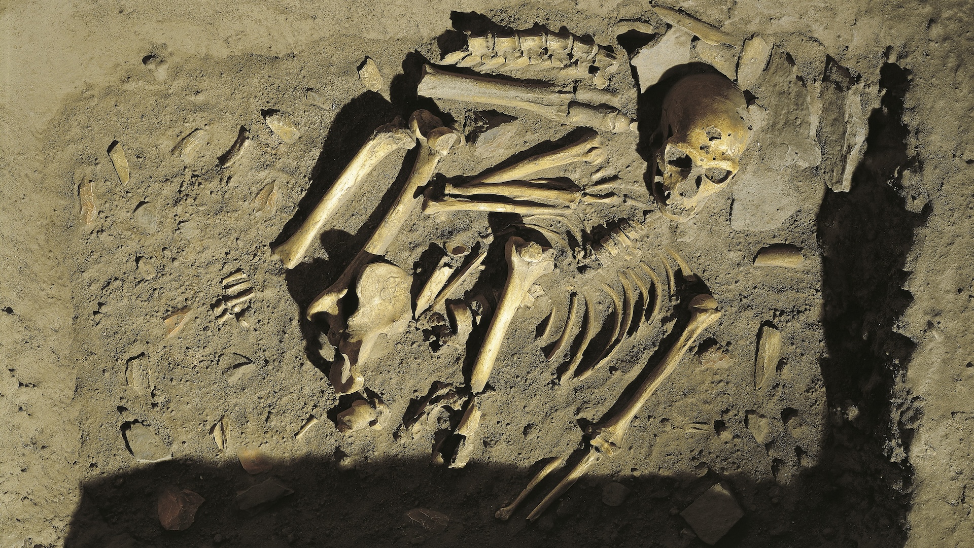 Neanderthals and early Homo sapiens buried their dead differently, study suggests