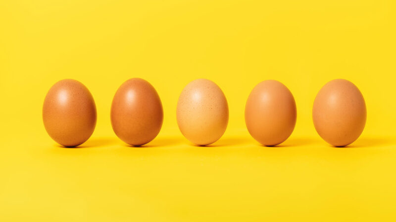 Experiment: The surprising strength of eggshells