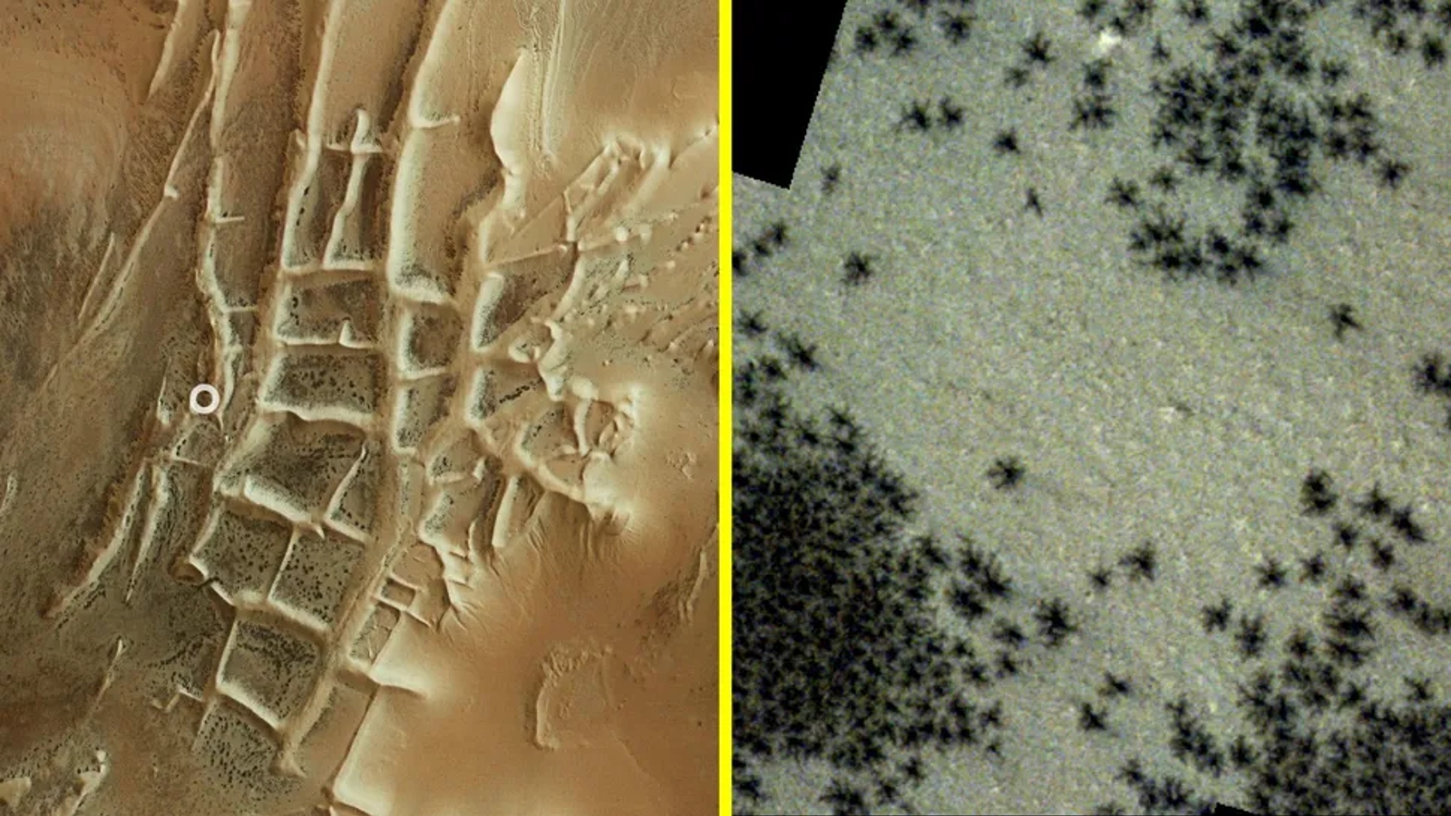 10 amazing things we found on Mars in 2024, from hundreds of 'spiders' to a 'Martian dog'