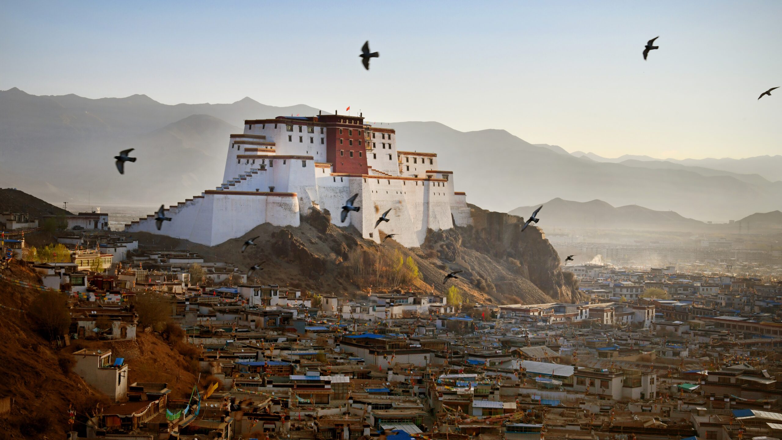 Tibet earthquake: Deadly magnitude 7.1 quake hits holy city of Shigatse