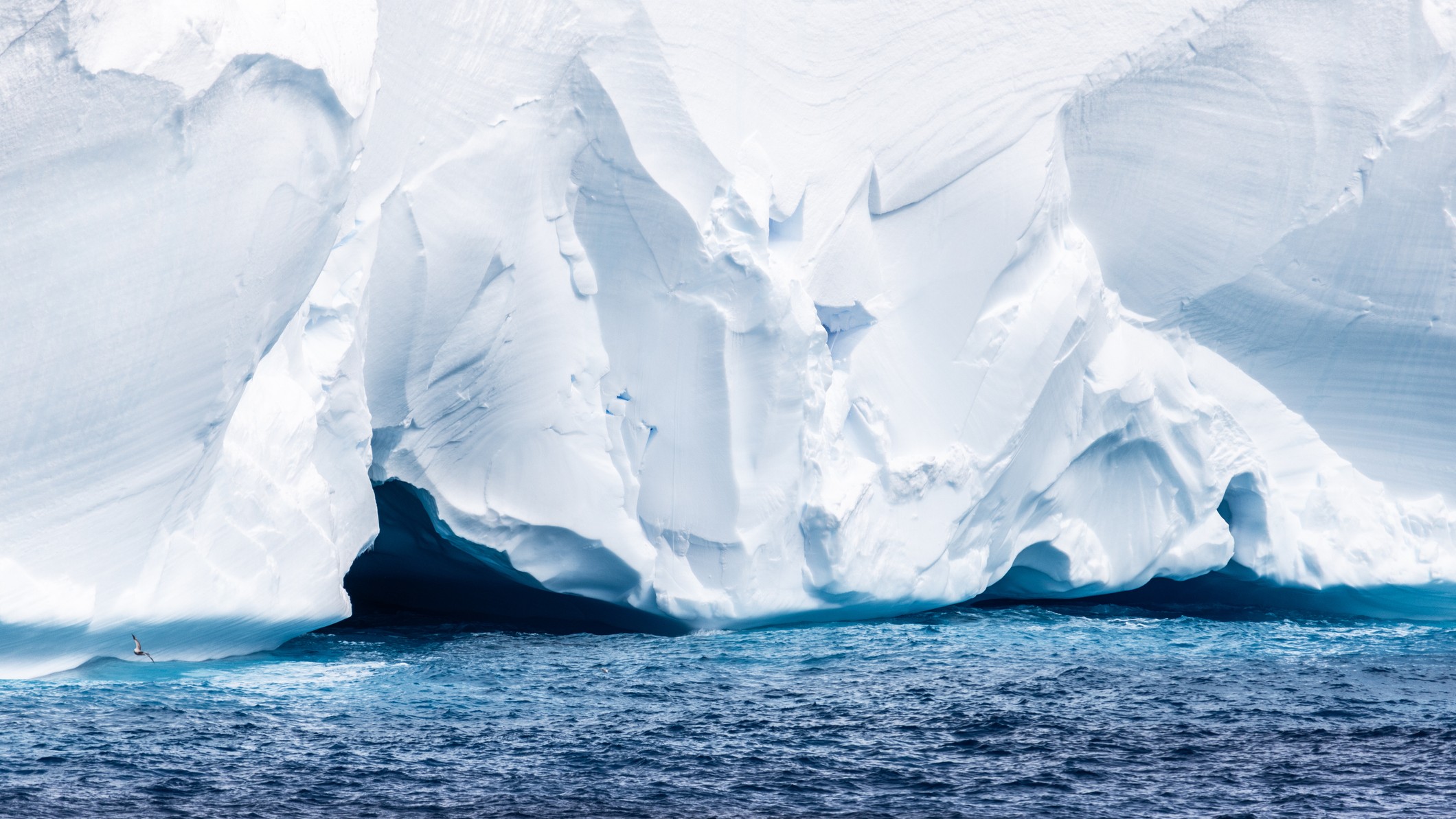 'Queen of icebergs' A23a is barreling toward a remote South Atlantic island. Millions of animals could be at risk