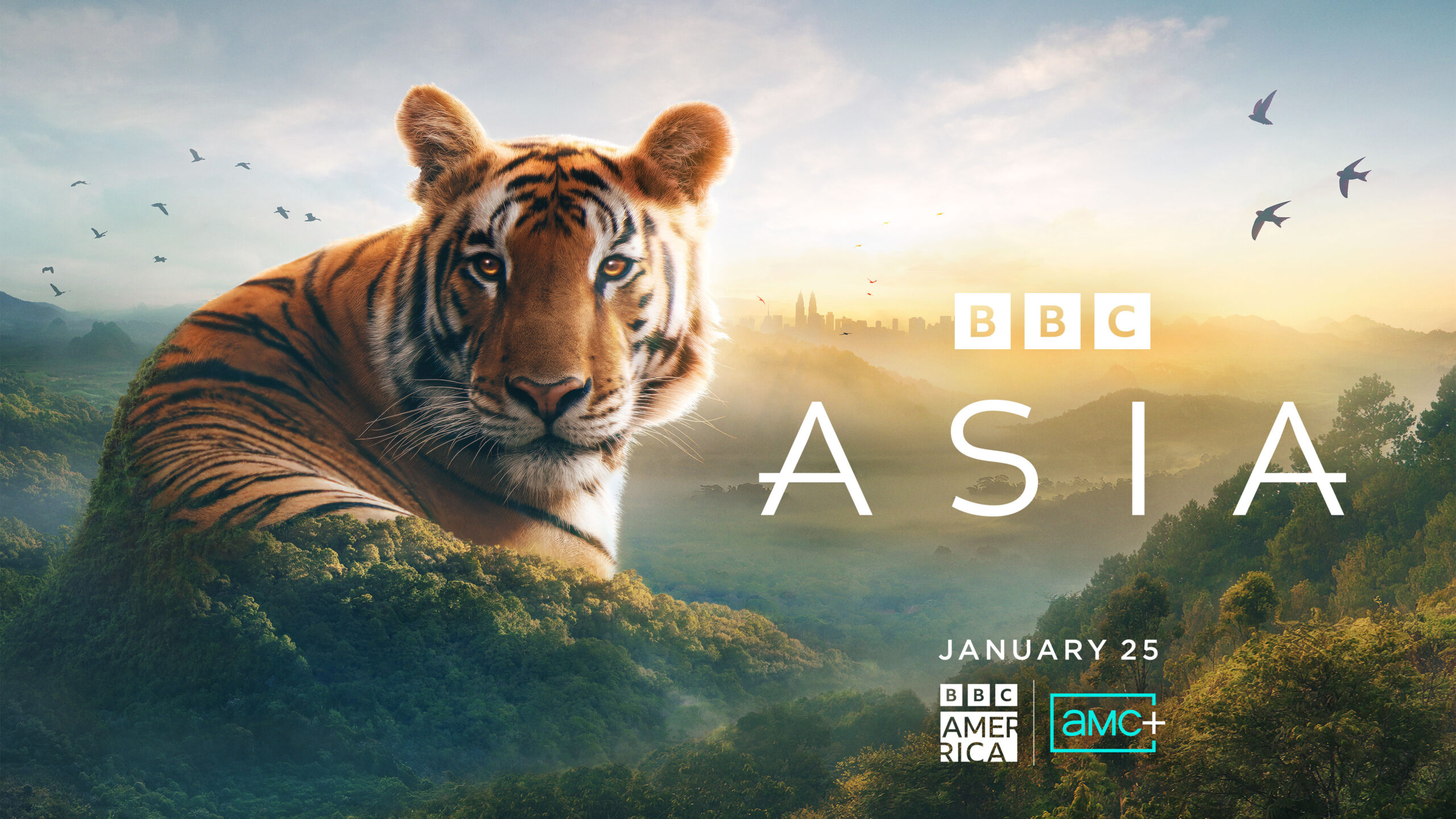 How to watch 'Asia' with David Attenborough as US streaming begins for BBC nature series