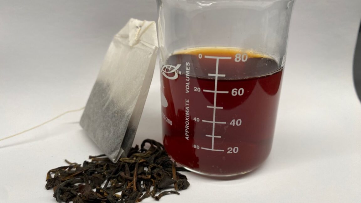 Brewing tea removes lead from water