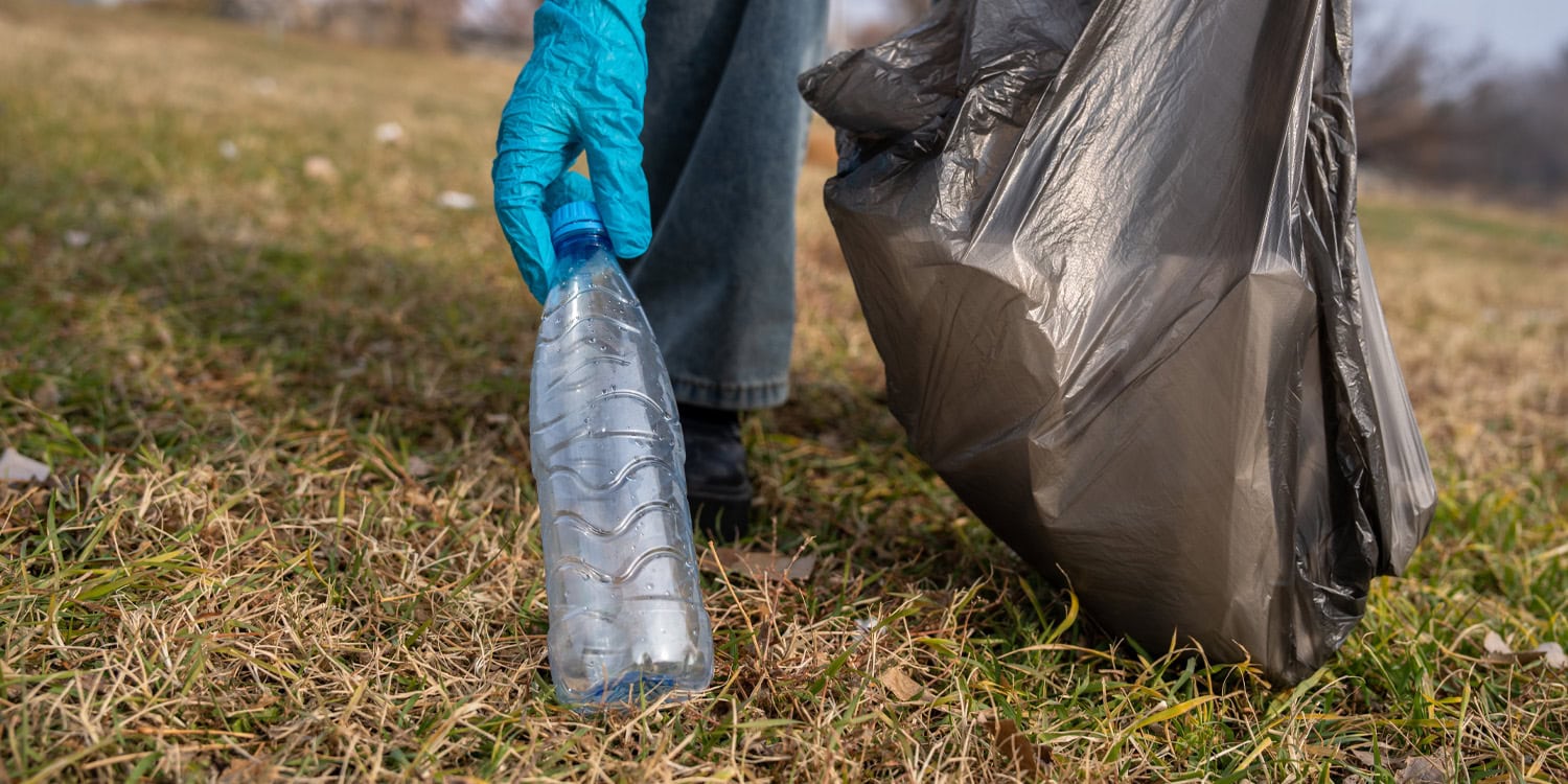 Eco-friendly actions boost happiness as much as hobbies, research shows