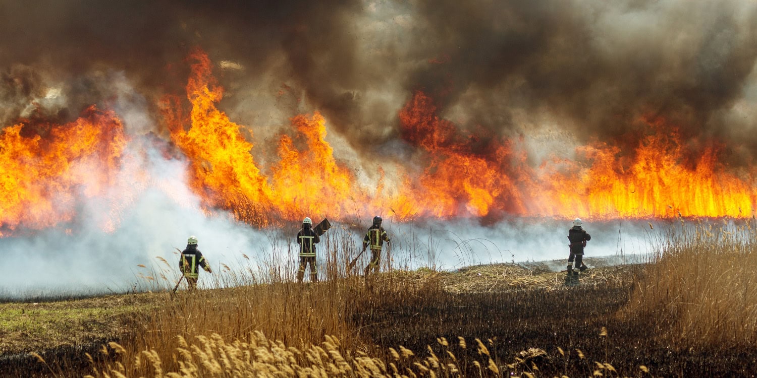 Study: Wildfire smoke exposure raises dementia risk by 18%