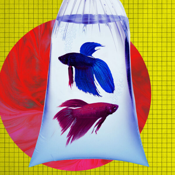 Anthropic Ai Vending Machine Vp0rkc