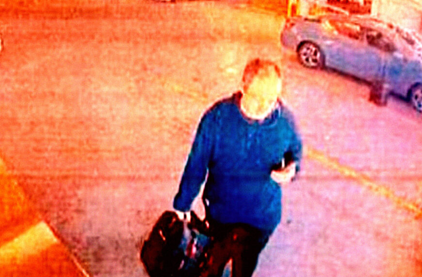 Murder Mit Fusion Scientist Bizarre 6jeuct