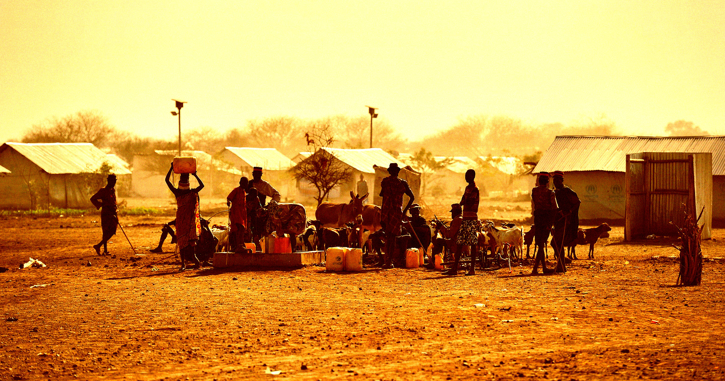 People Starved Death Elon Musk Usaid Butngz