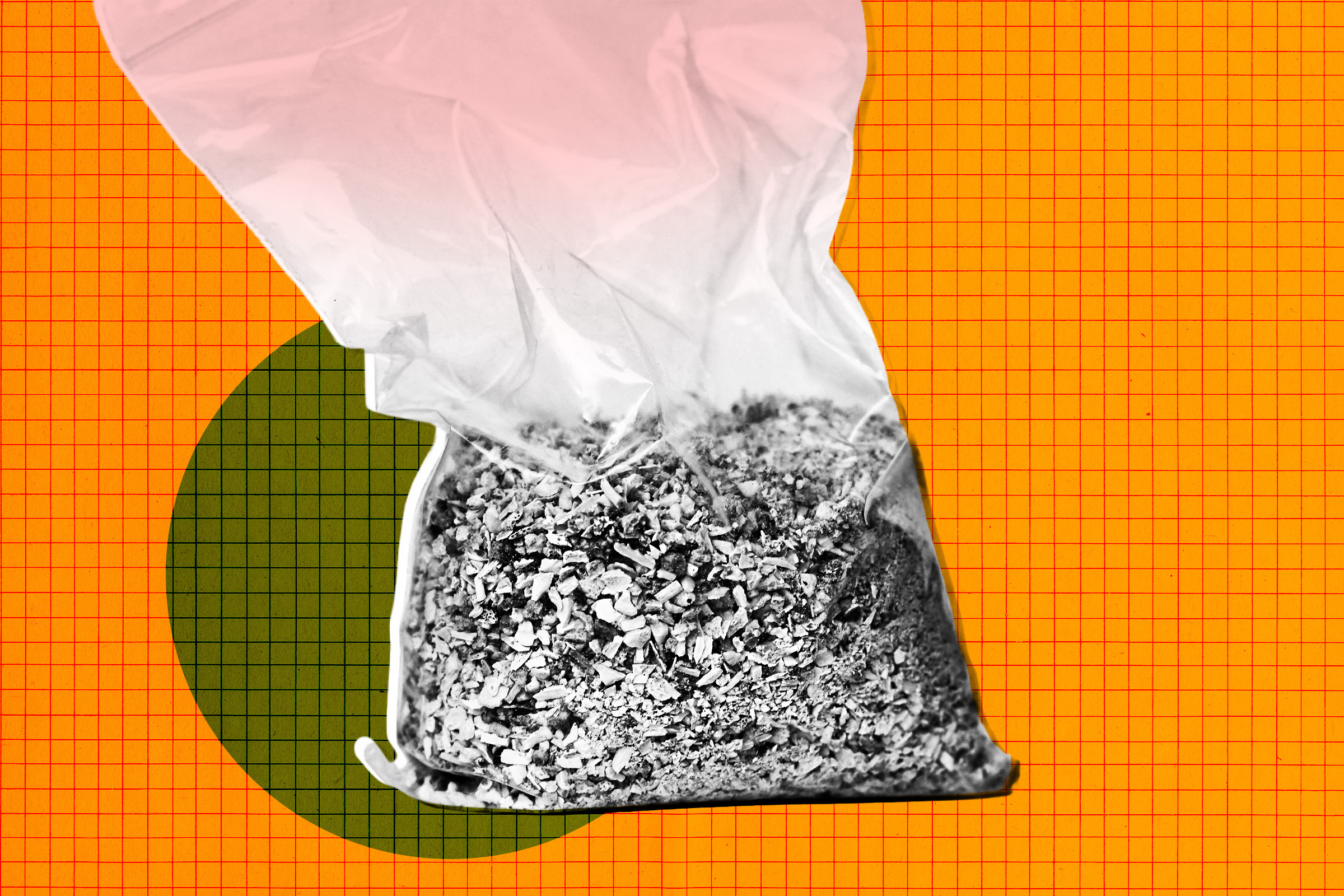 You Will Never Guess What This Startup Is Turning Human Remains Into