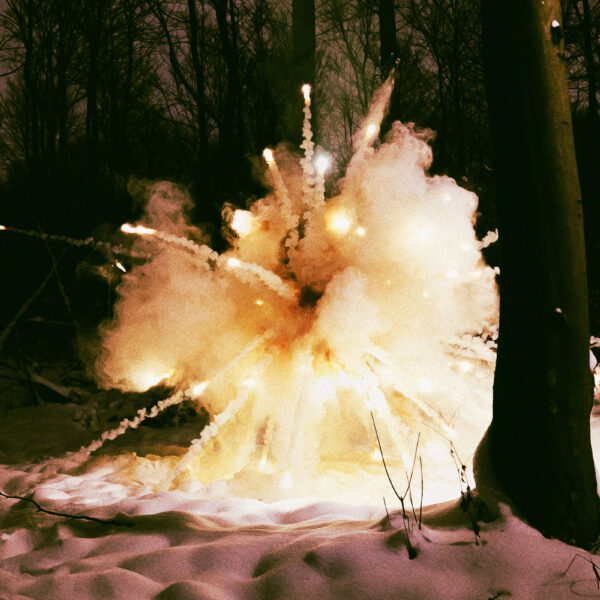 Meteorologist Warns That Winter Storm Means Trees Are About to Start Exploding