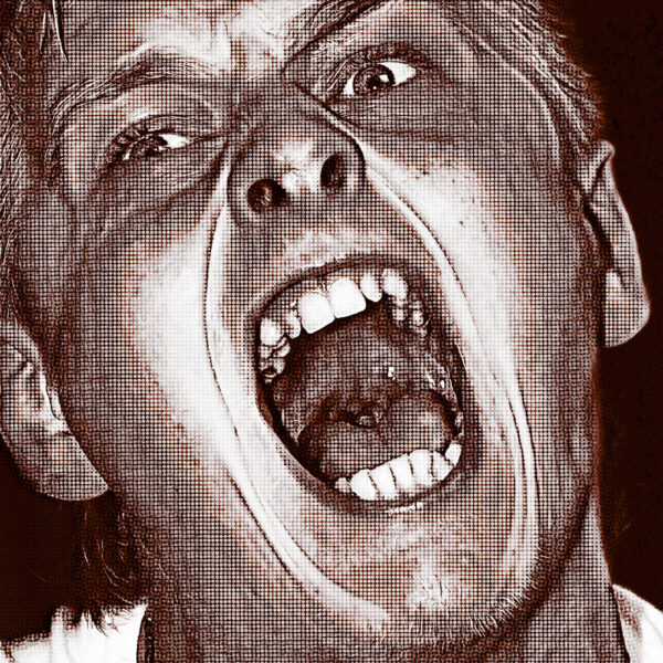 Crypto Bros in Meltdown as Bitcoin Crashes