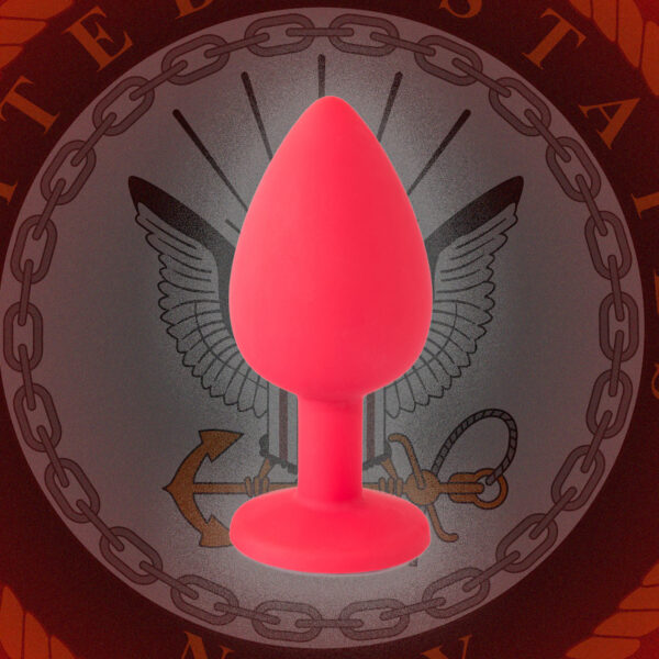 Pentagon Begs Shop to Stop Sending Butt Plugs&hellip;