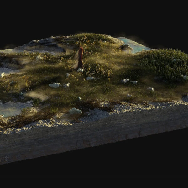 Scientists Intrigued by Unfamiliar Life Form