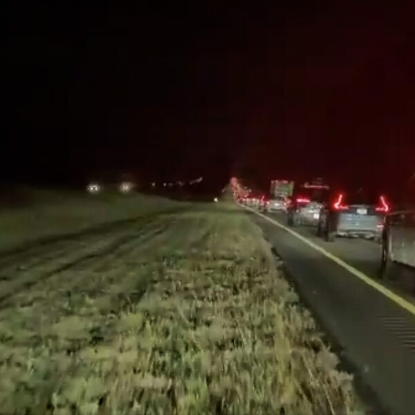 Tesla Fan Profusely Praises FSD For Veering His&hellip;