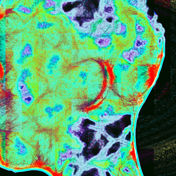 Anthropic Insiders Afraid They’ve Crossed a Line