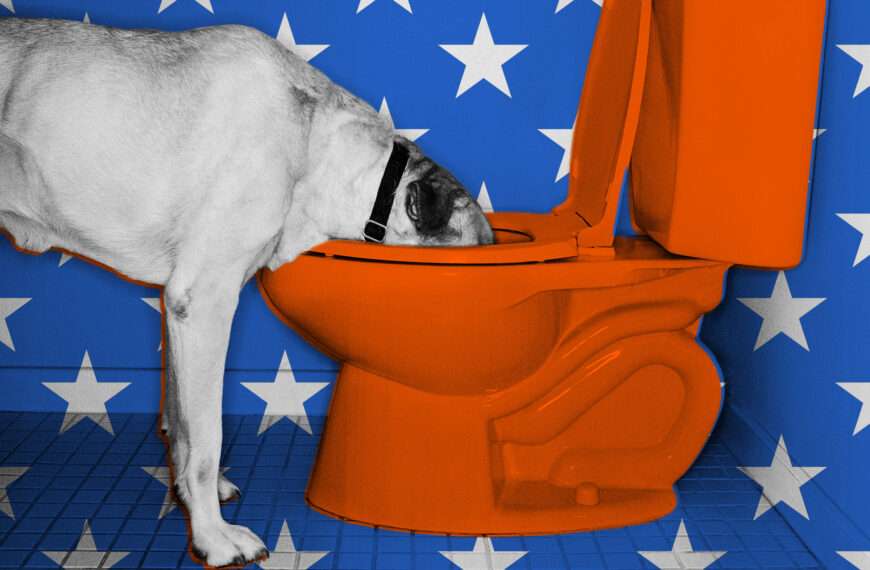 The Average American Would Pay $49 Per Month to Drink Recycled Toilet Water, Study Finds