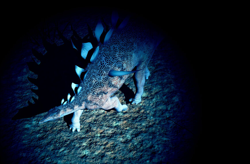 This Is How Big a Telescope&hellip;