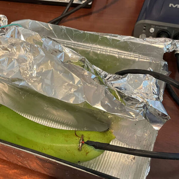 In Blind Test, Audiophiles Unable to Tell Difference&hellip;