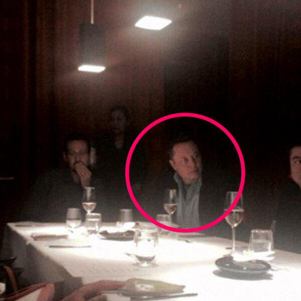Photo Shows Elon Musk at Jeffrey Epstein Dinner