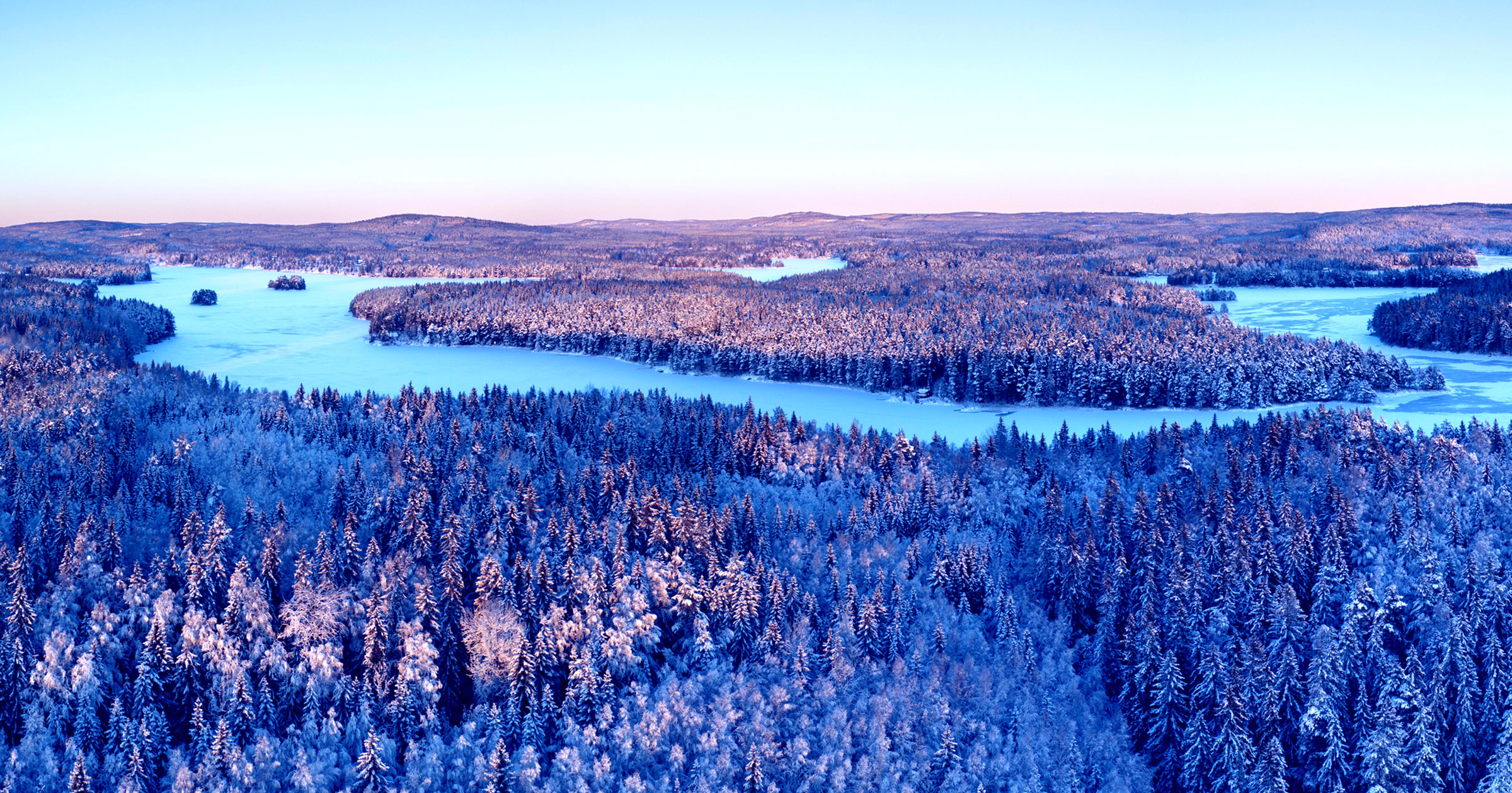 Forests Are Steadily Crawling North, Satellite Imagery Shows