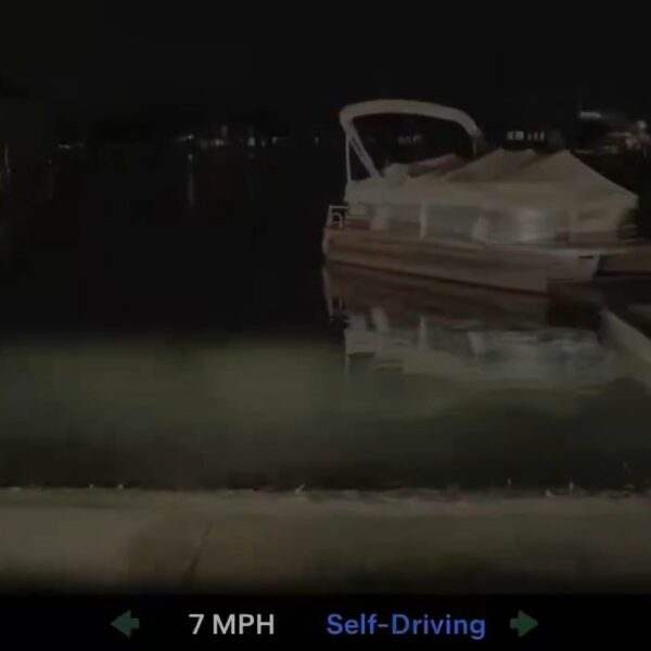 FSD Tries to Drive Straight Into Lake