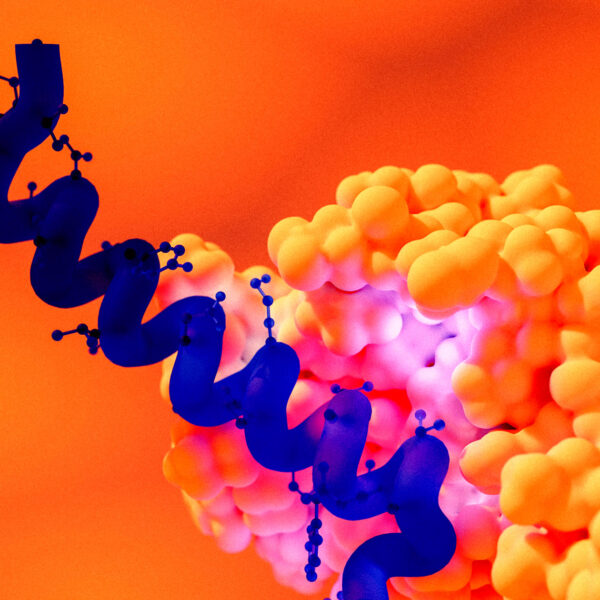 GLP-1s Are an Environmental Catastrophe