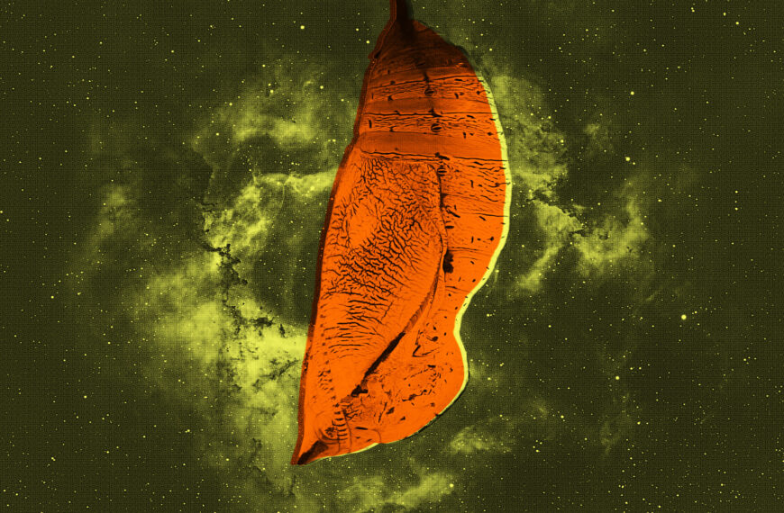 Galactic Monsters Grew in Cocoons Like Giant Bugs, Scientists Say