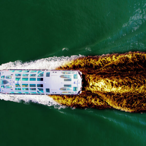 Luxury Cruise Descends Into a Diarrhea Nightmare