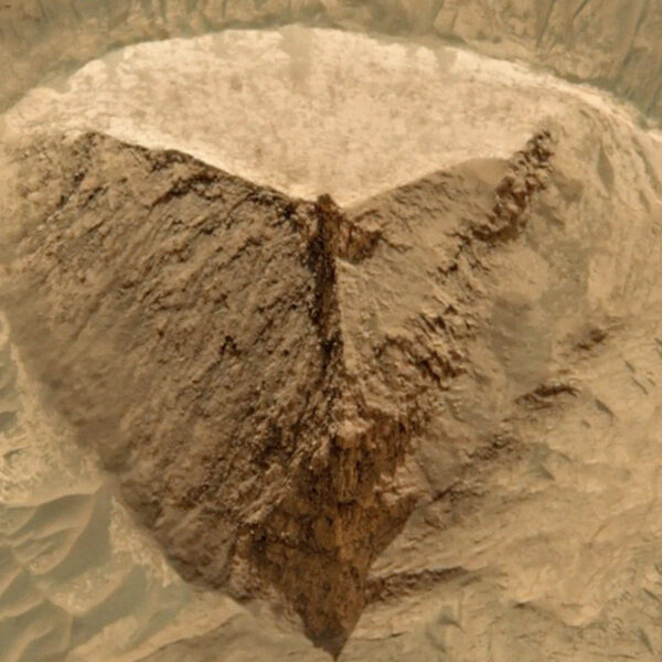 Why Is Everyone Losing Their Minds Over This&hellip;