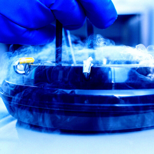 Scientists Bring Mouse Brains Back to Life After&hellip;