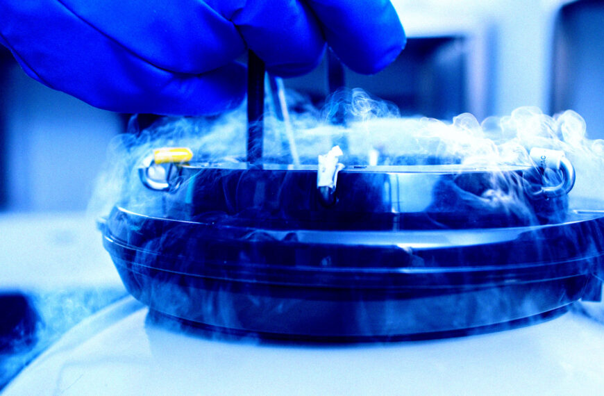 Scientists Bring Mouse Brains Back to&hellip;