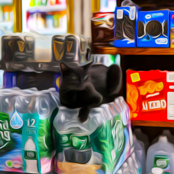 New York’s Beloved Bodegas Are Filling Up With&hellip;