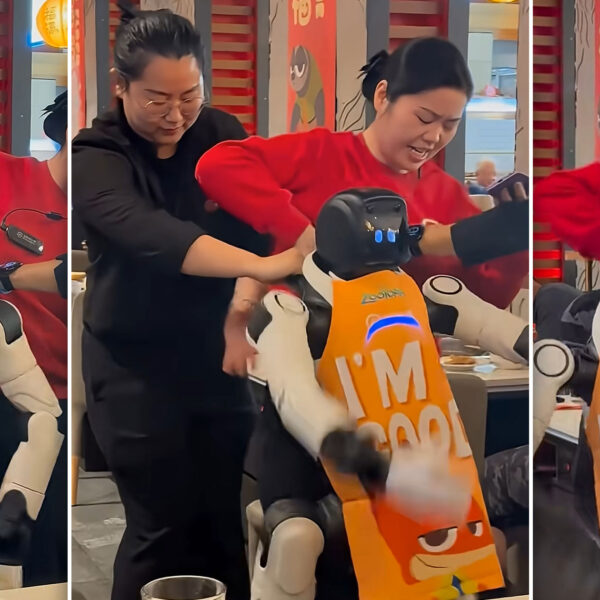 Robot Goes Berserk in California Restaurant, Dragged Away&hellip;