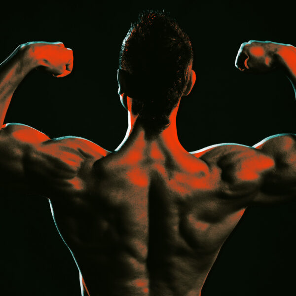 Scientists Intrigued by Microbe That That Makes Mice&hellip;