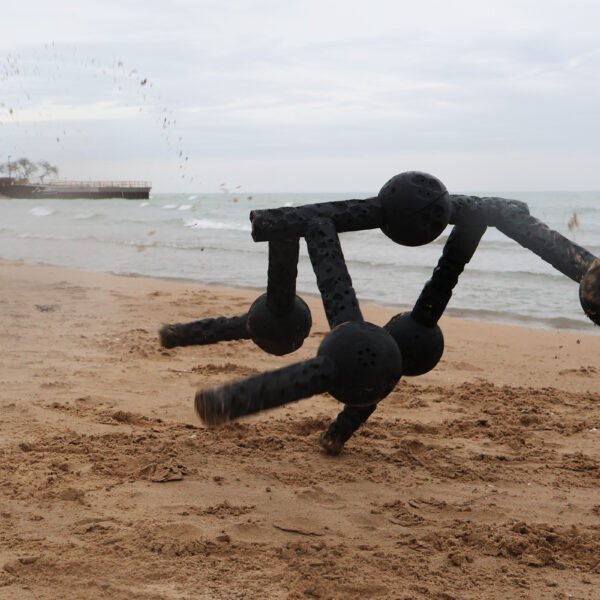 Strange Modular Robots Are Writhing Across Landscapes