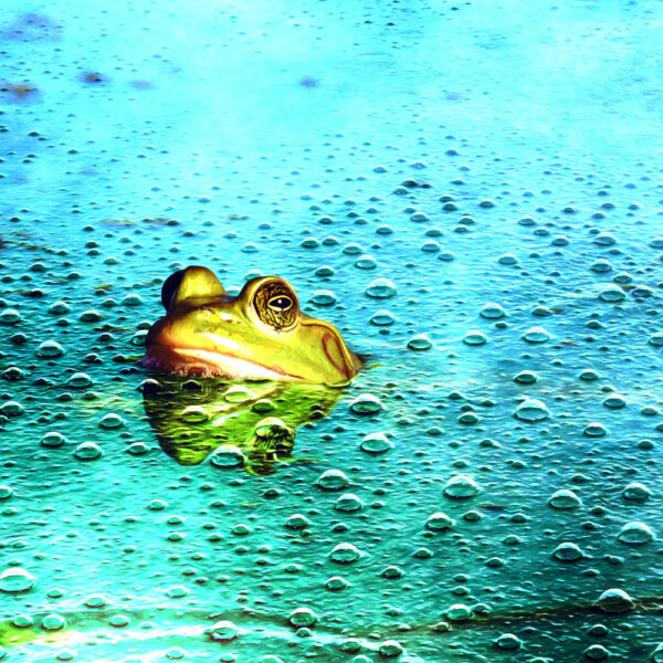 AI Use Appears to Have a “Boiling Frog”&hellip;