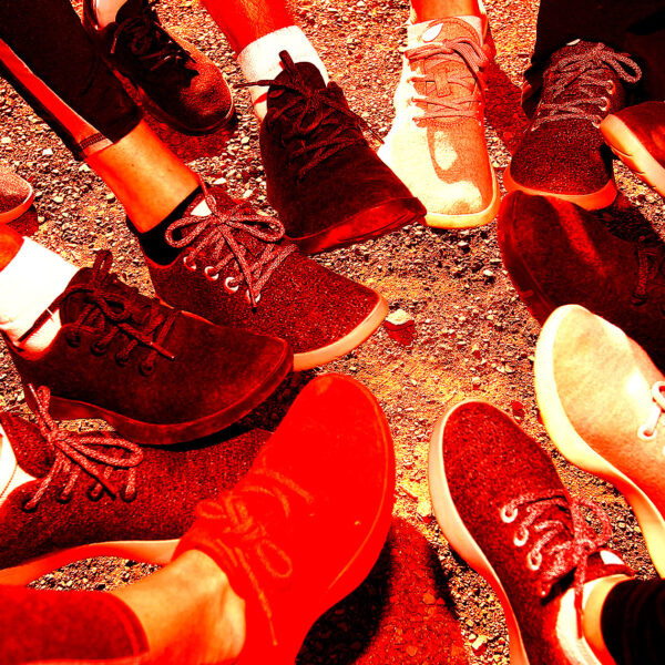 Allbirds Stock Now Crashing as Reality Sets in About Its Delusional AI Pivot