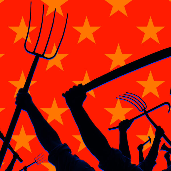 City Council Wrecked in Voter Bloodbath After Allowing&hellip;