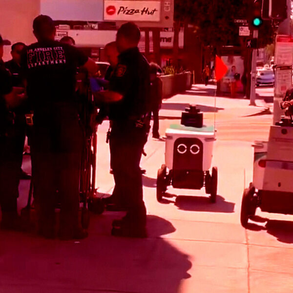 Two Delivery Bots Blunder Into the Middle of&hellip;