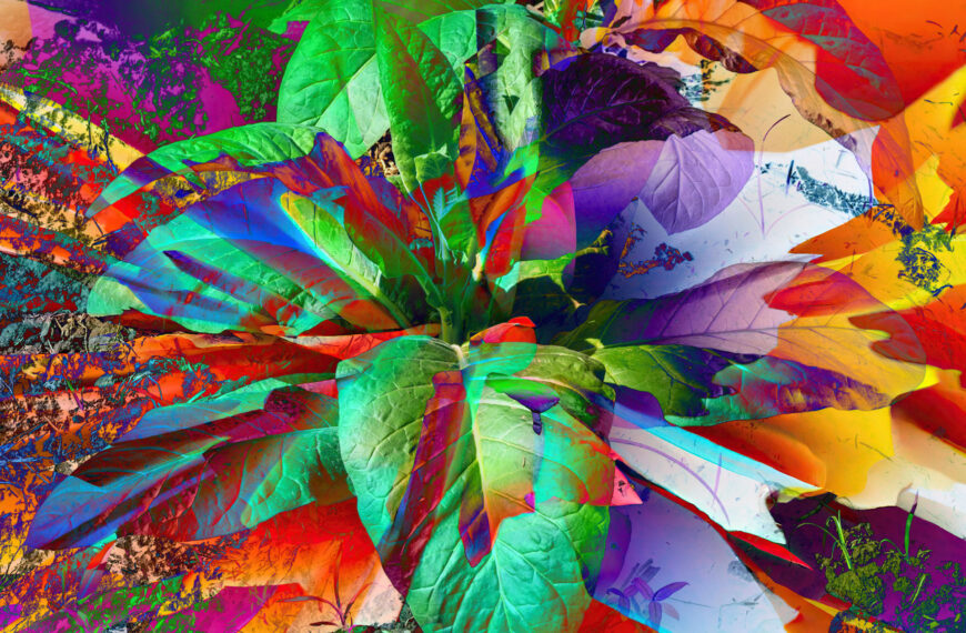 Scientists Gene Hacked a Plant So It Grows Five Types of Psychoactive Drugs at Once