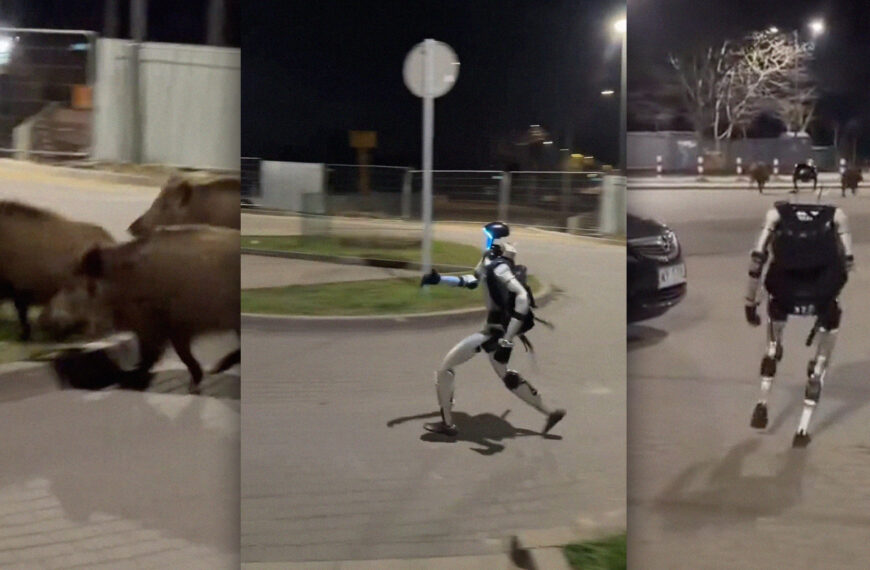 Video Shows Humanoid Robot Chasing a Pack of Wild Boars