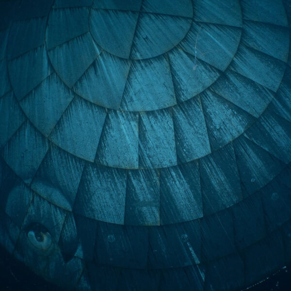 Guess What This Creepy Underwater Thing Is That&hellip;