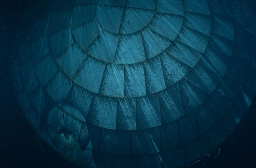 Guess What This Creepy Underwater Thing&hellip;