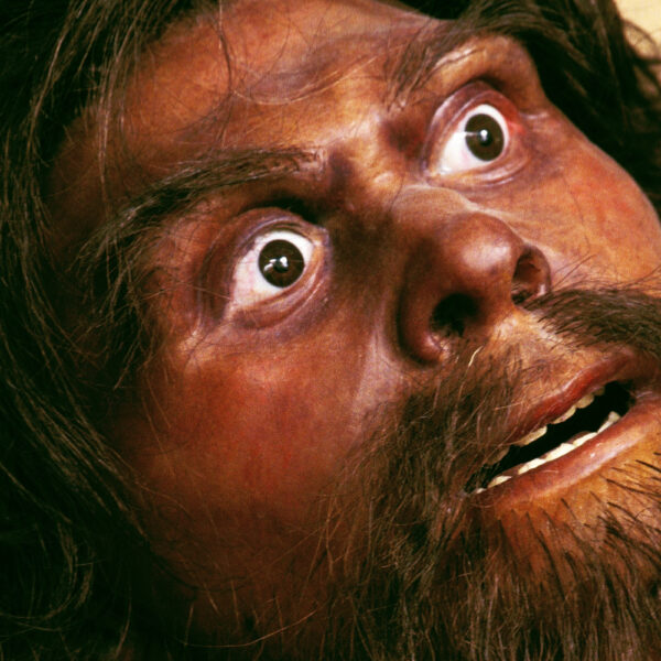 You Are Not Prepared to Learn the Size&hellip;