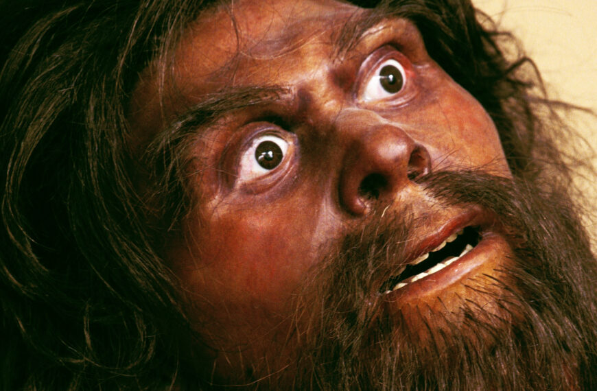 You Are Not Prepared to Learn the Size of Neanderthal Infants